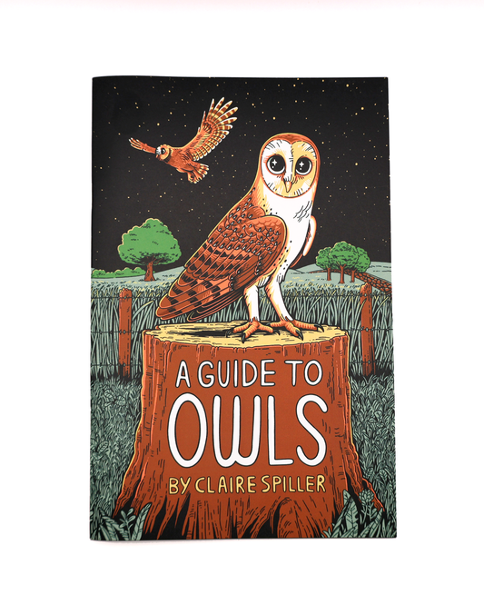 A Guide to Owls