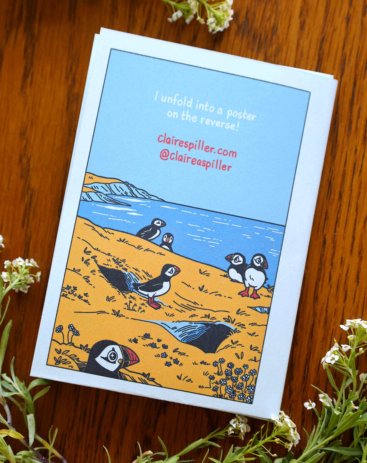 A Pocket Guide to Puffins