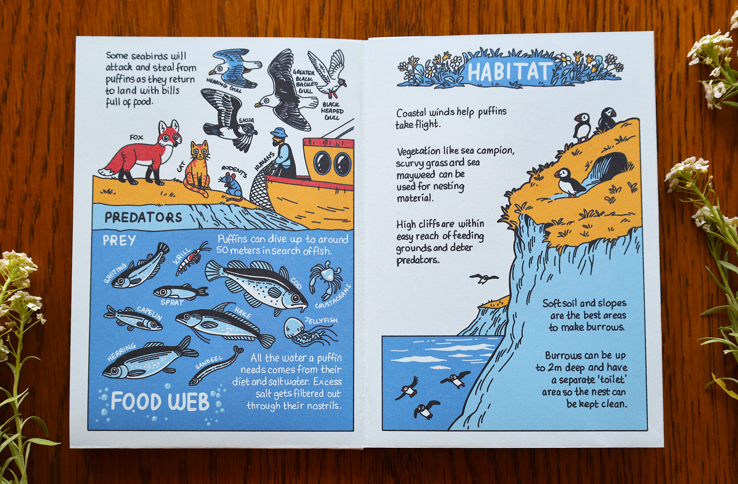 A Pocket Guide to Puffins