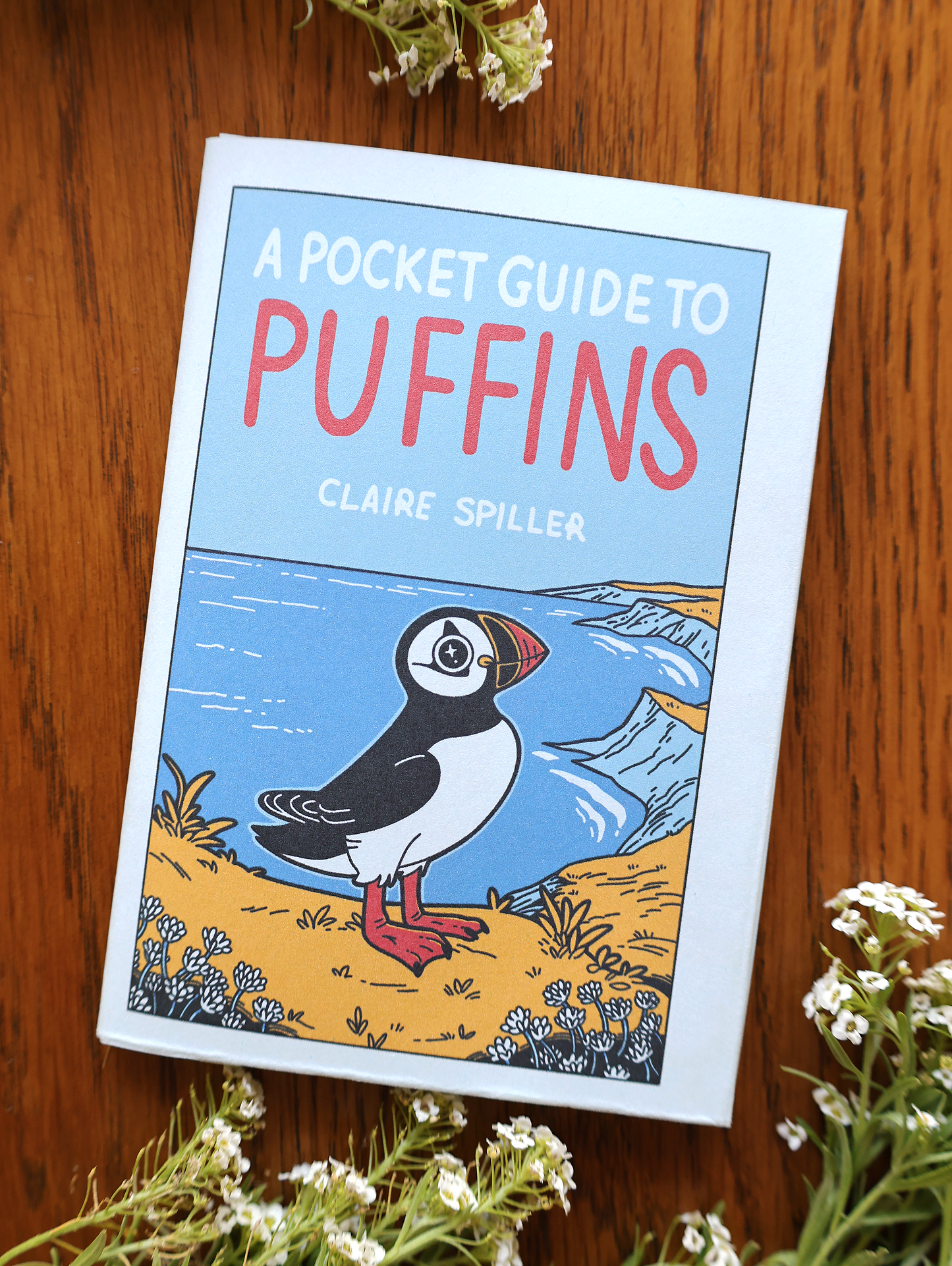 A Pocket Guide to Puffins