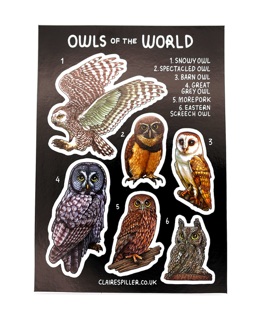 Owls of the World Sticker Sheet