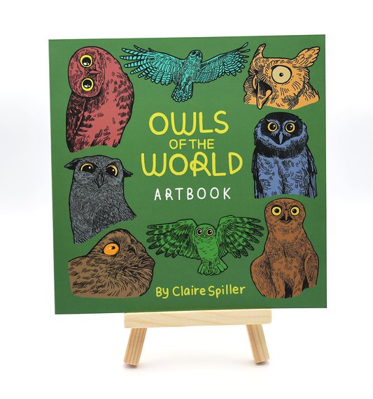Owls of the World Art Book