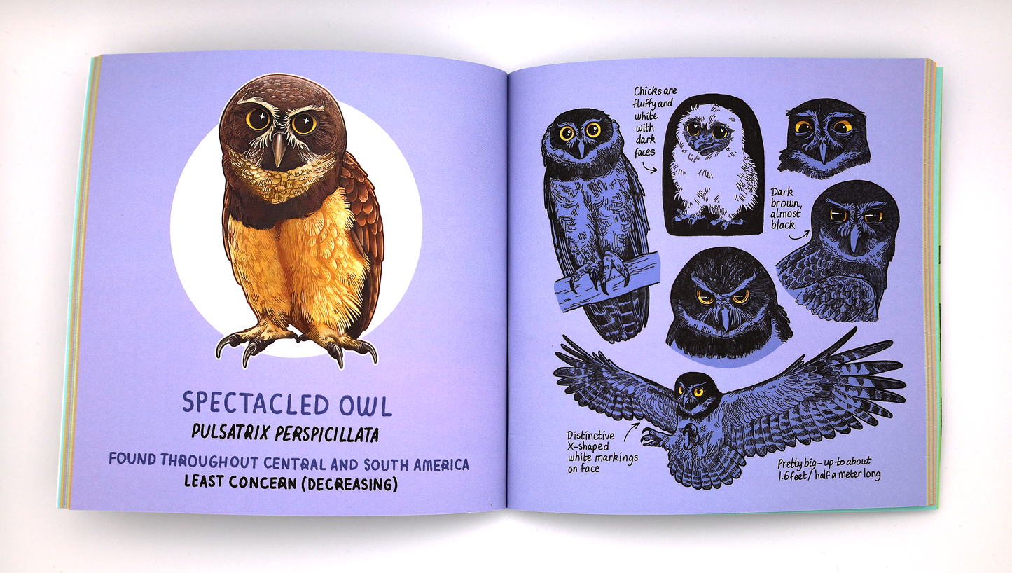 Owls of the World Art Book