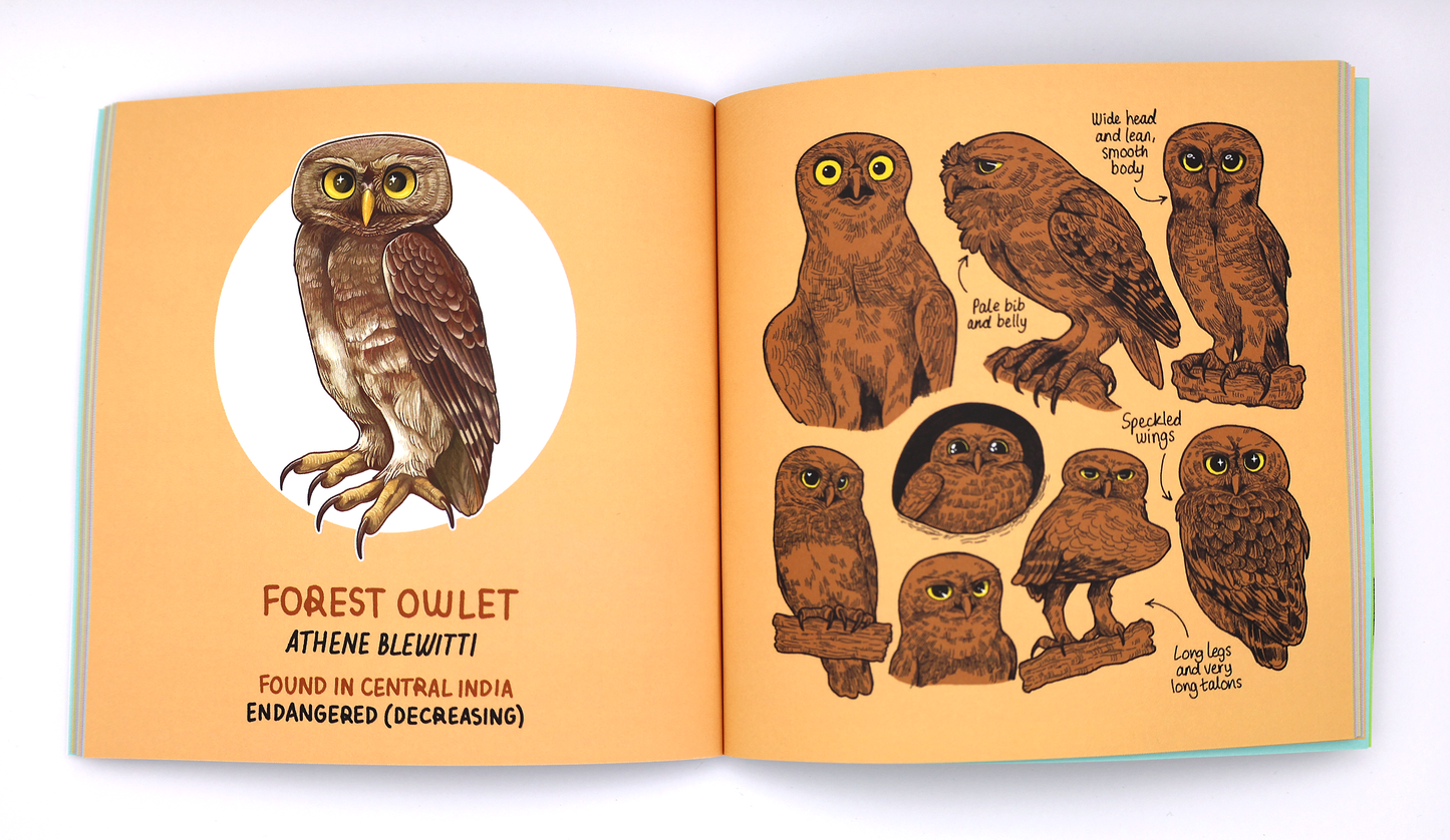 Owls of the World Art Book