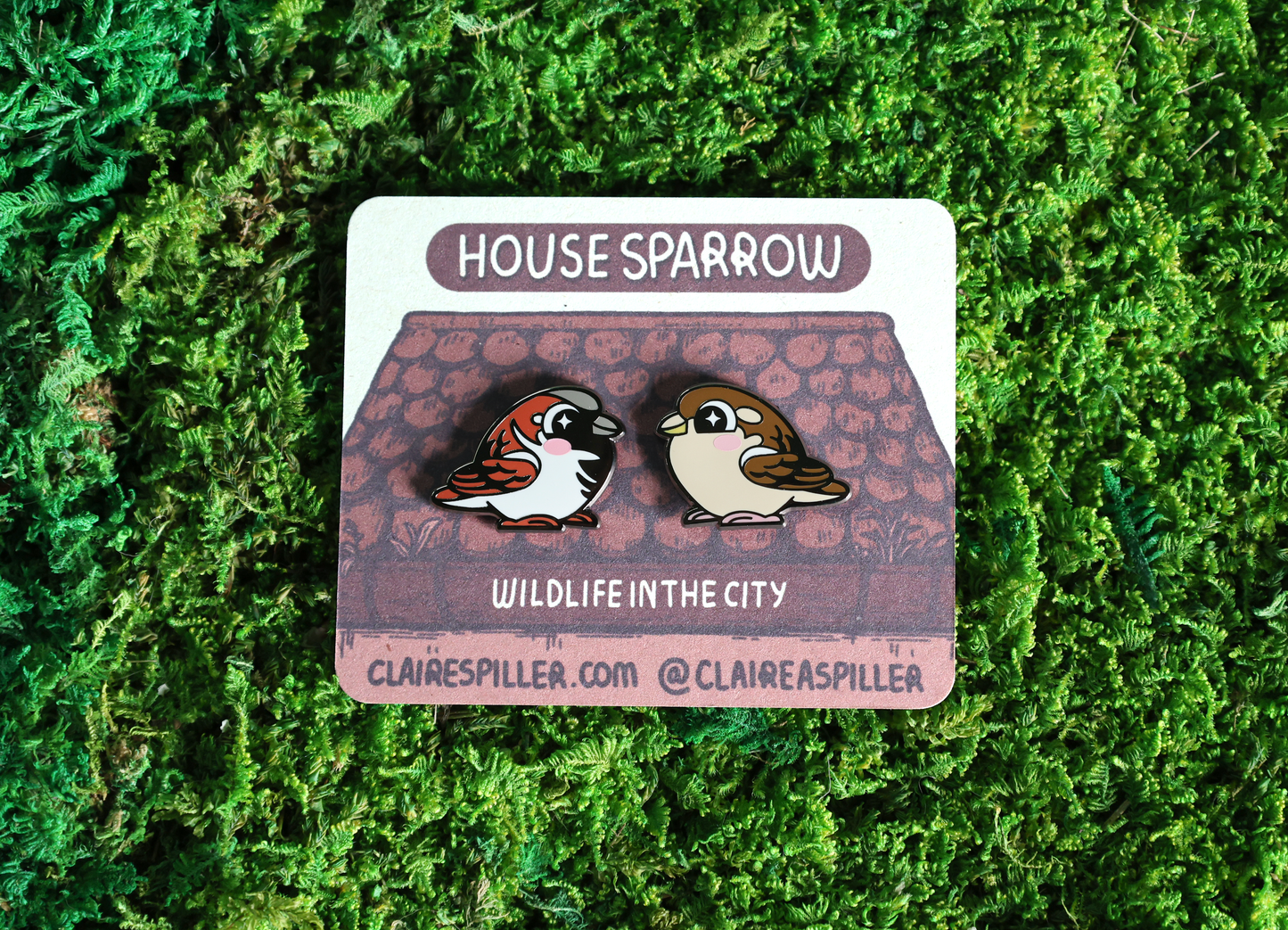 Pair of House Sparrow Enamel Pins