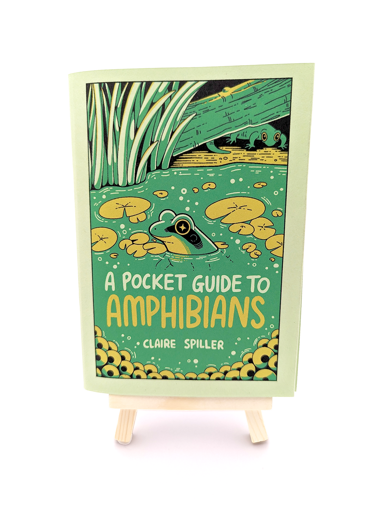 A Pocket Guide to Amphibians