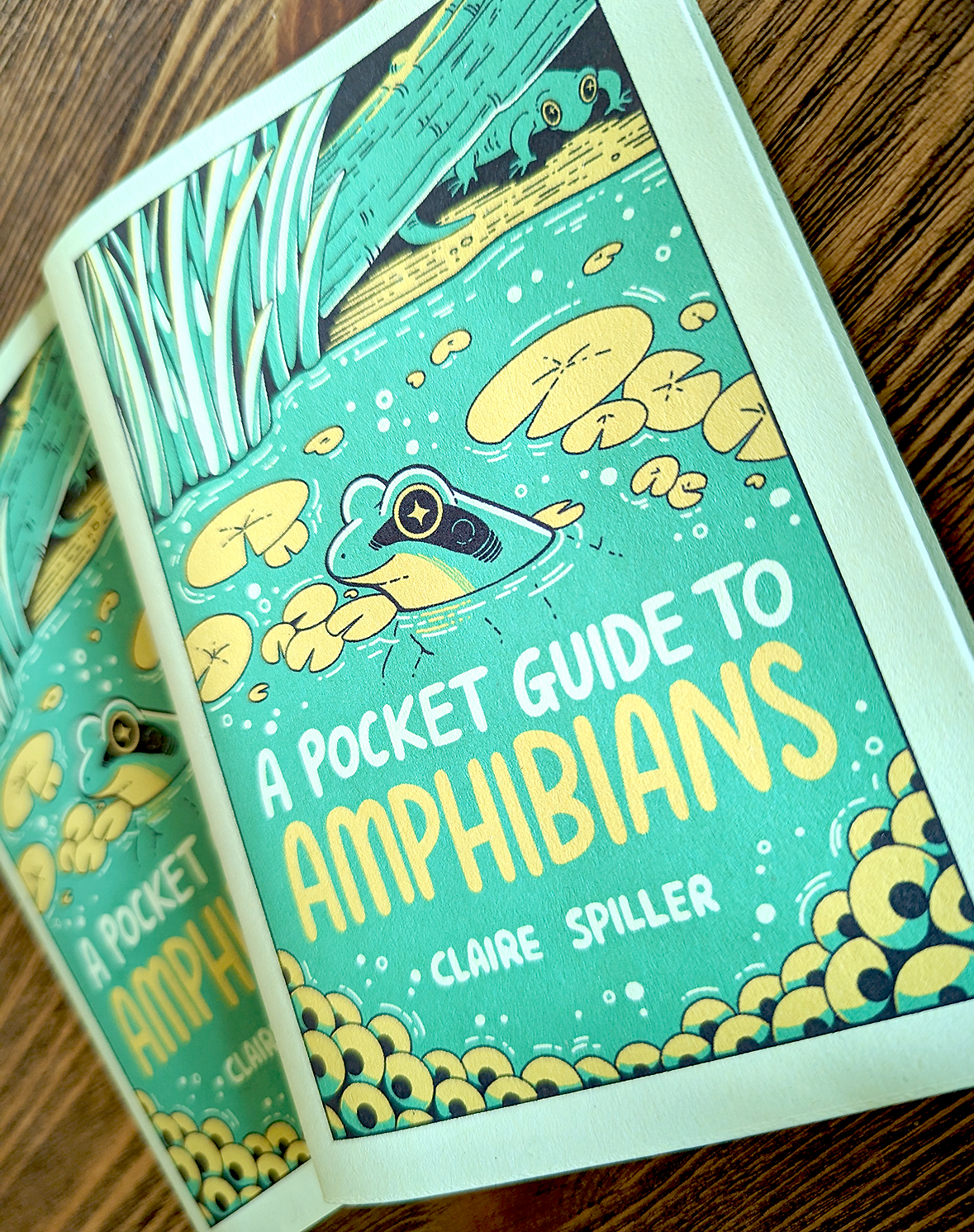 A Pocket Guide to Amphibians