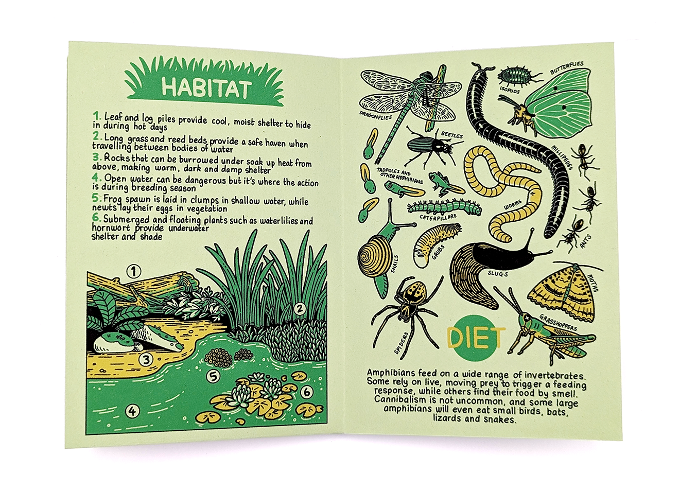 A Pocket Guide to Amphibians