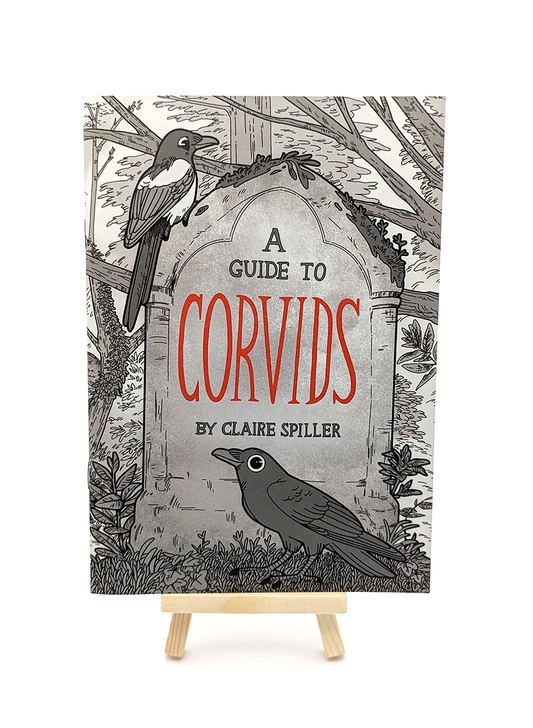 A Guide to Corvids