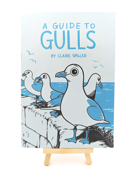 A Guide to Gulls
