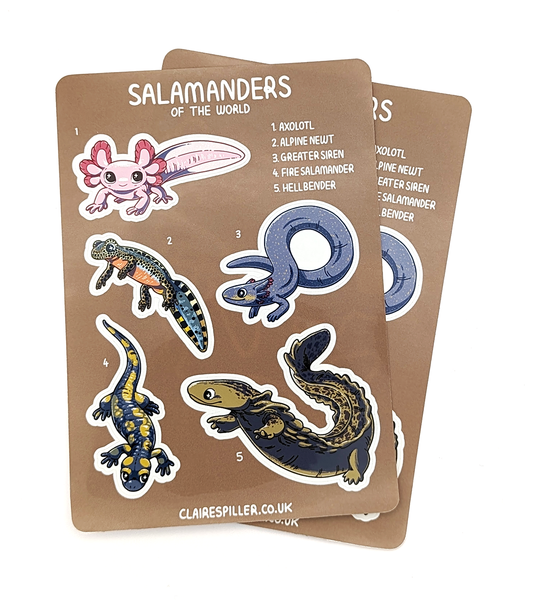 Salamanders of the World Sticker Sheet
