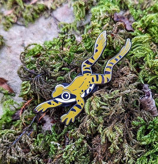 Frog Enamel Pin