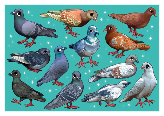 Pigeons of the City A5 Fine Art Print / Bird Illustration / Pigeon Wall Art